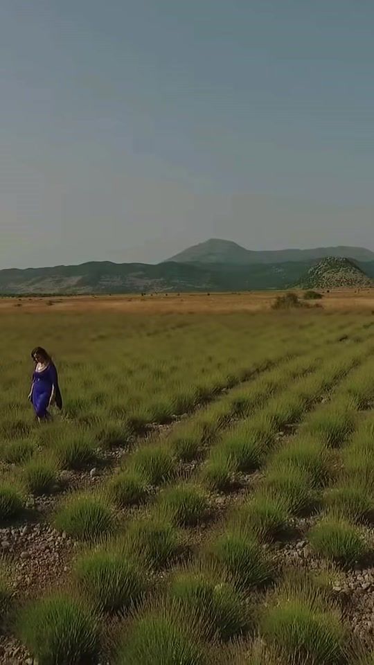 TikTok video thumbnail by vida.kunora