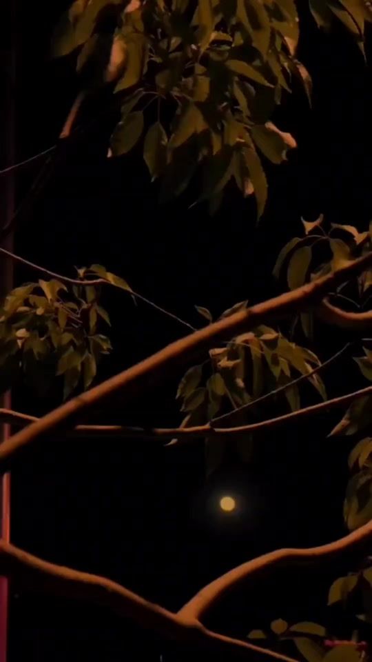 TikTok video thumbnail by samad__music1
