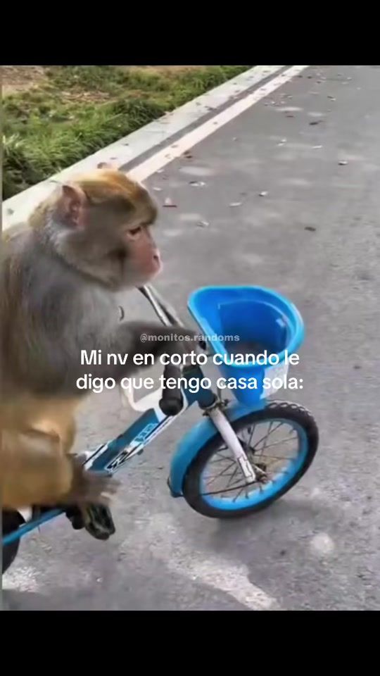 TikTok video thumbnail by monitos.randoms