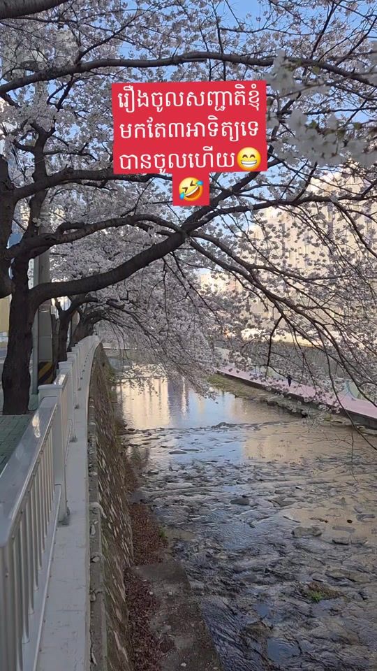 TikTok video thumbnail by nambunnalee