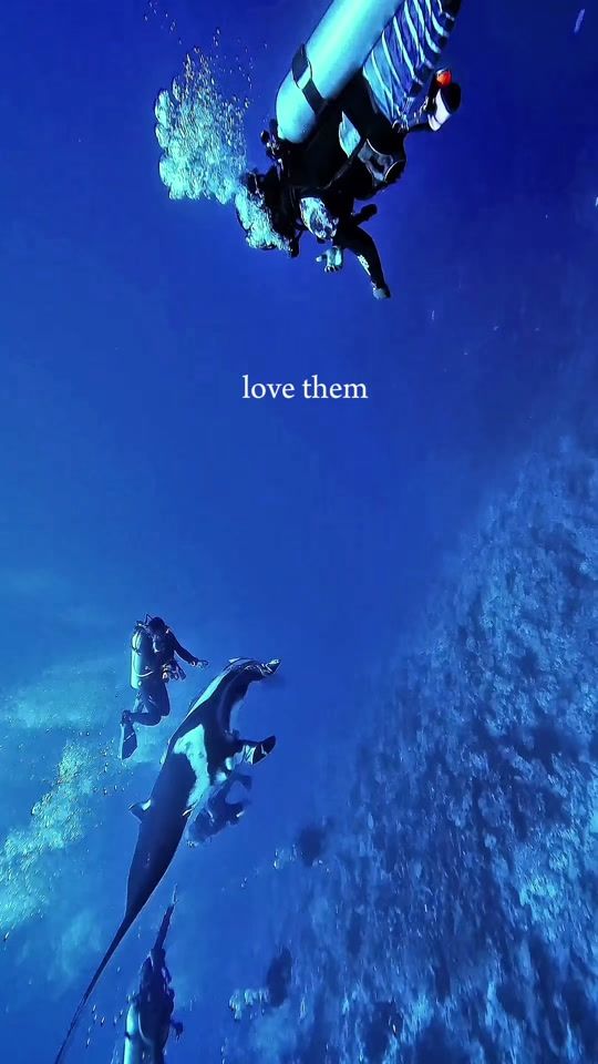 TikTok video thumbnail by fuvahmulahcentraldive