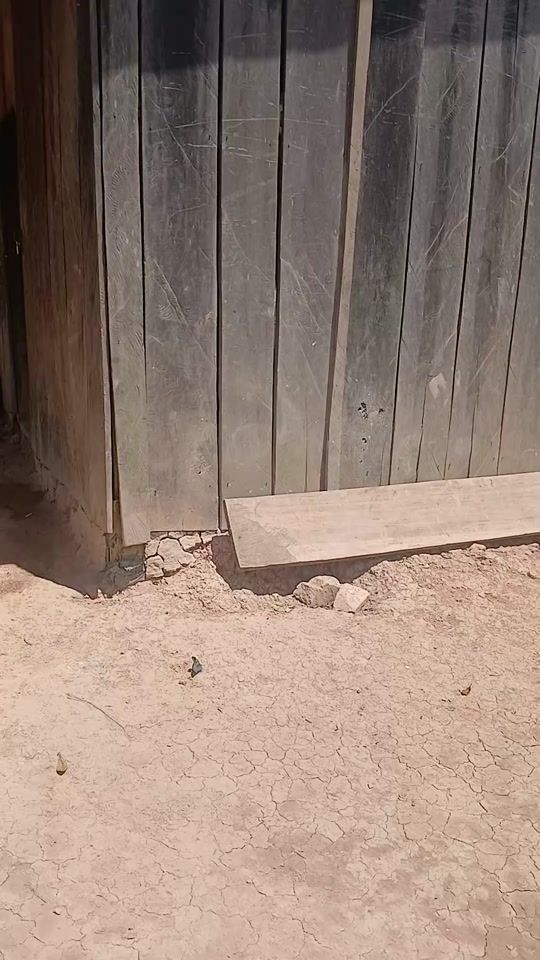 TikTok video thumbnail by losbulvudos1