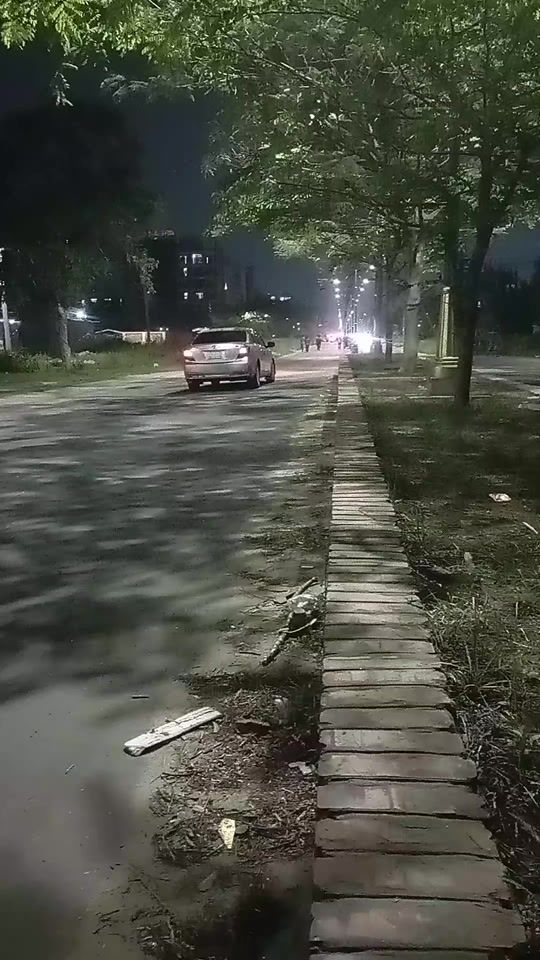 TikTok video thumbnail by user109097835584