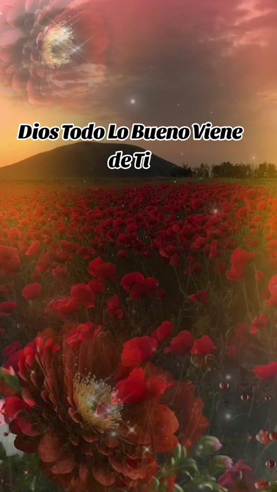 TikTok video thumbnail by thelmalopez933