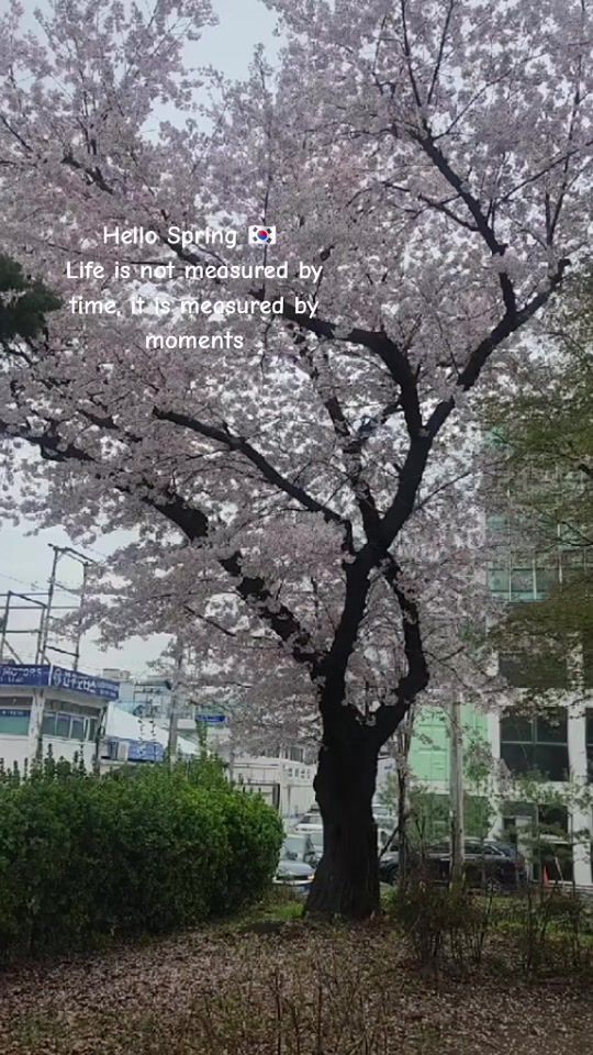 TikTok video thumbnail by _jindhel