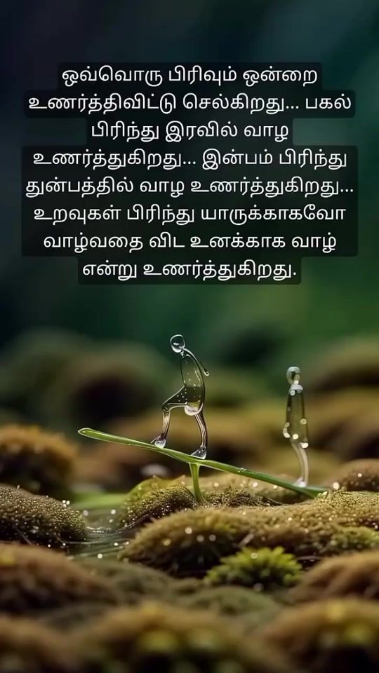 TikTok video thumbnail by r.maheswaran8