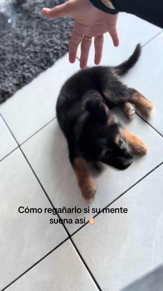 TikTok video thumbnail by jatzi_fh