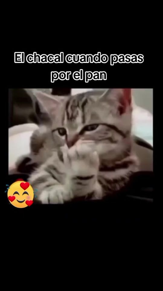 TikTok video thumbnail by las_sailors