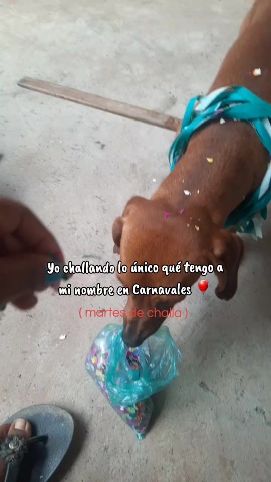 TikTok video thumbnail by gaby.gptxcs