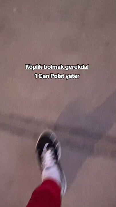 TikTok video thumbnail by rizz_teke