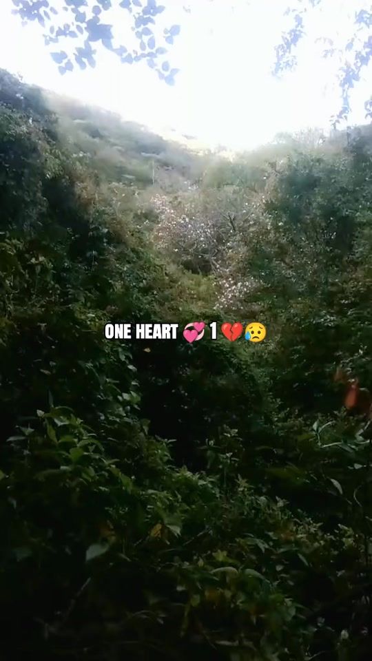 TikTok video thumbnail by one_heart_9