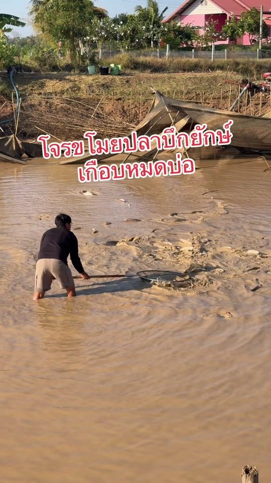 TikTok video thumbnail by chefkapom