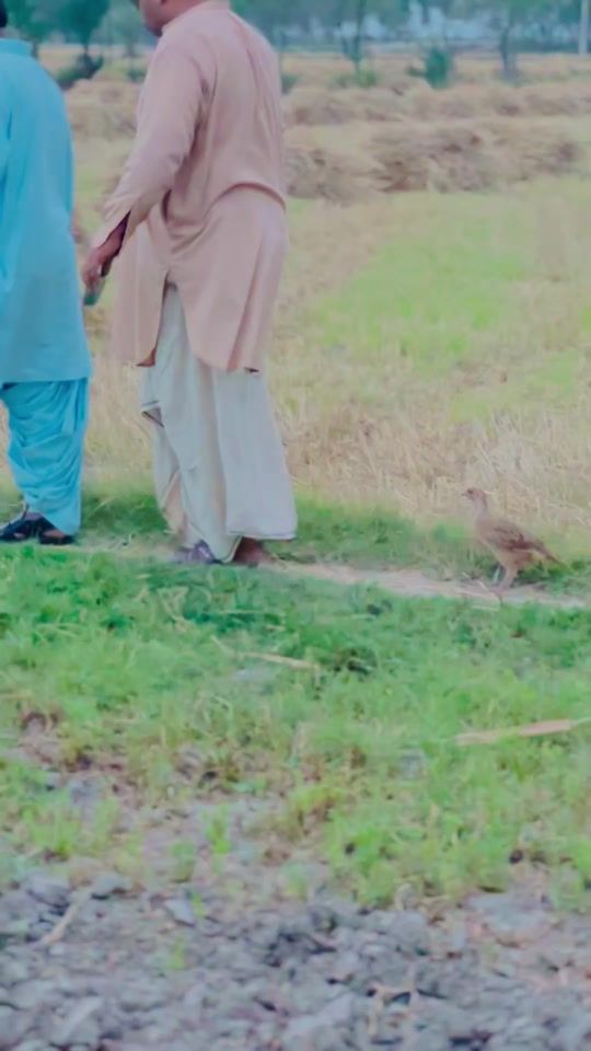 TikTok video thumbnail by malikdakhna07