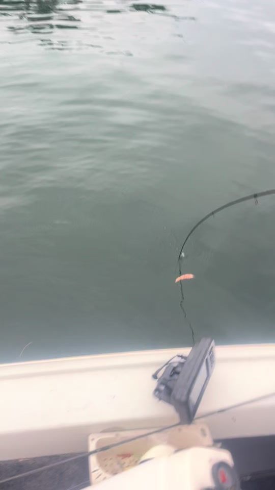 TikTok video thumbnail by tysonphillips