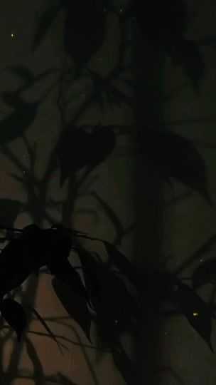 TikTok video thumbnail by am_anashed.0