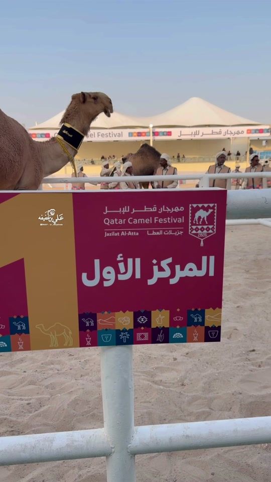 TikTok video thumbnail by al_majahem