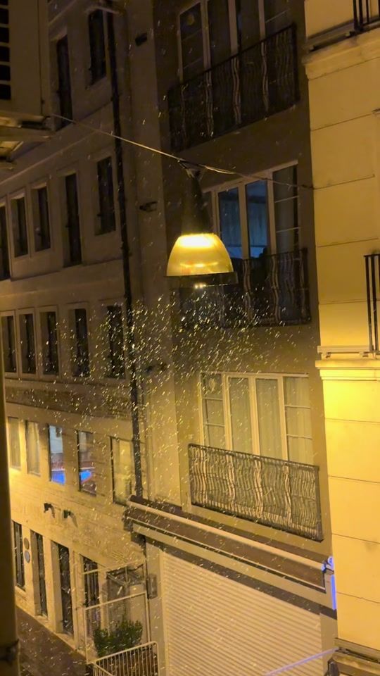 TikTok video thumbnail by bleonavibe