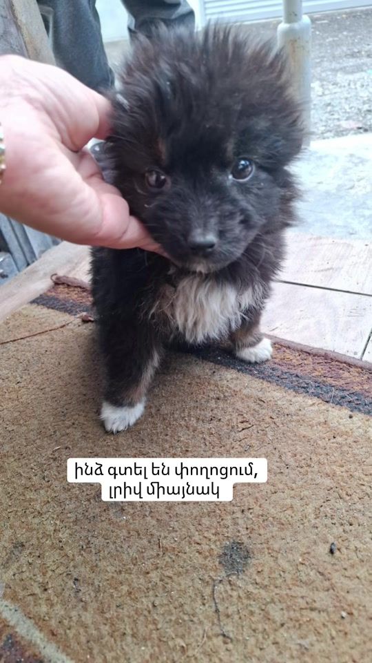 TikTok video thumbnail by vika793376