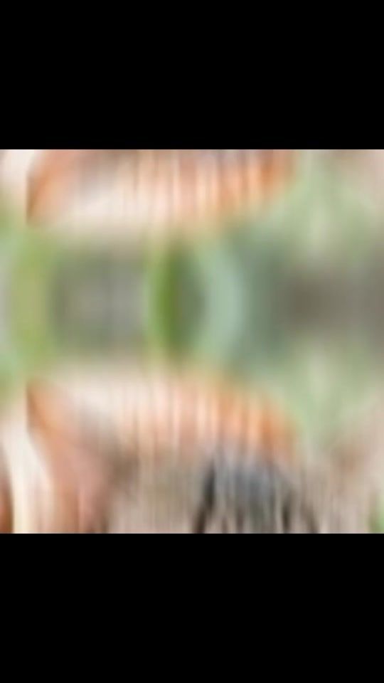 TikTok video thumbnail by verysuspnsswg