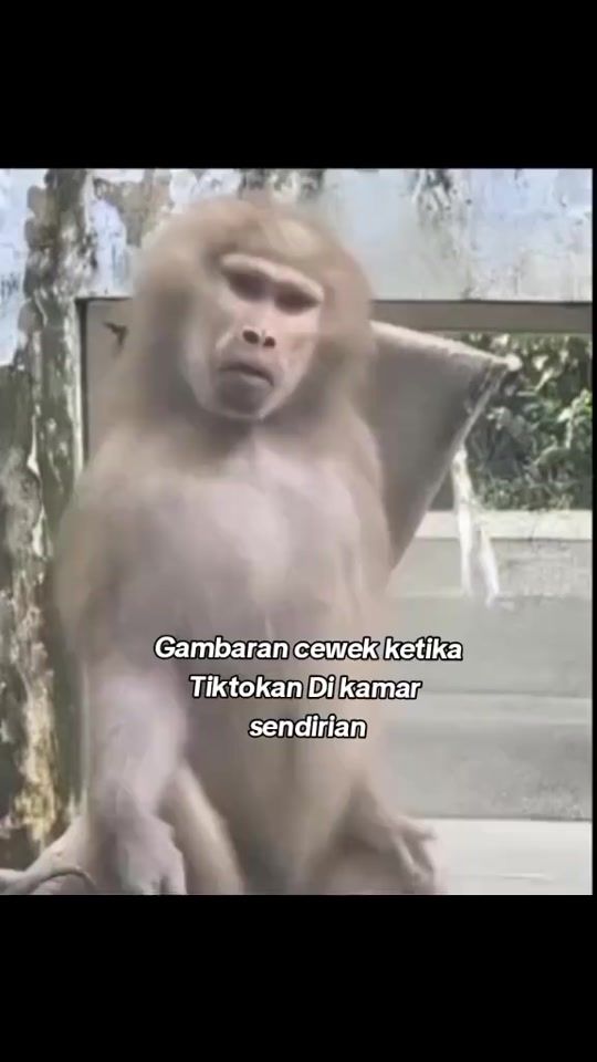 TikTok video thumbnail by fendydemian.fen1