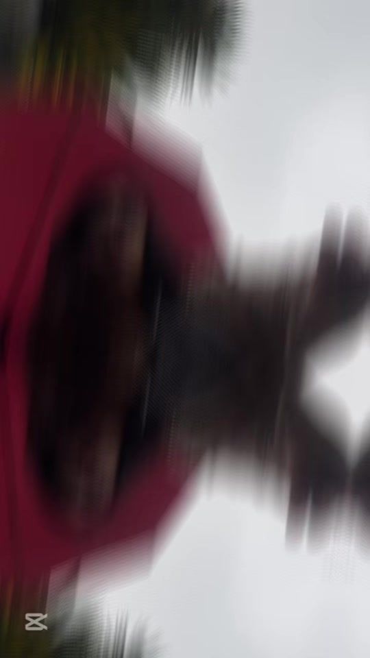 TikTok video thumbnail by lapulgadecris