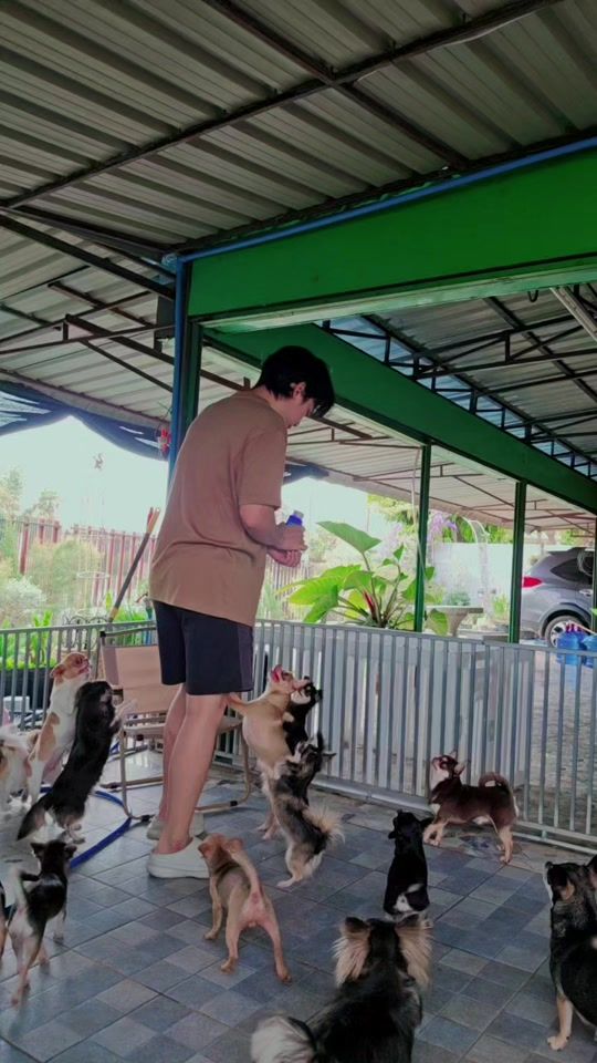 TikTok video thumbnail by bilezaza