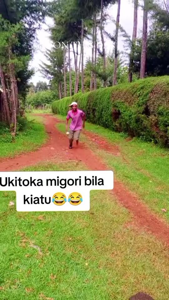 TikTok video thumbnail by maltipapas