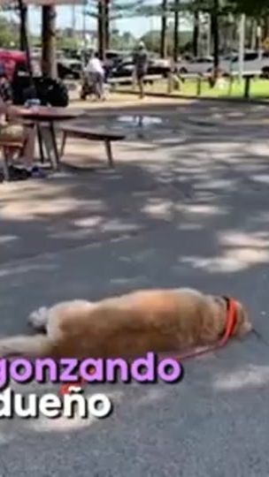 TikTok video thumbnail by pechancaprin