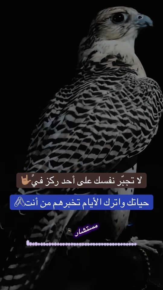 TikTok video thumbnail by httpsvt.tiktok.comzsmva8