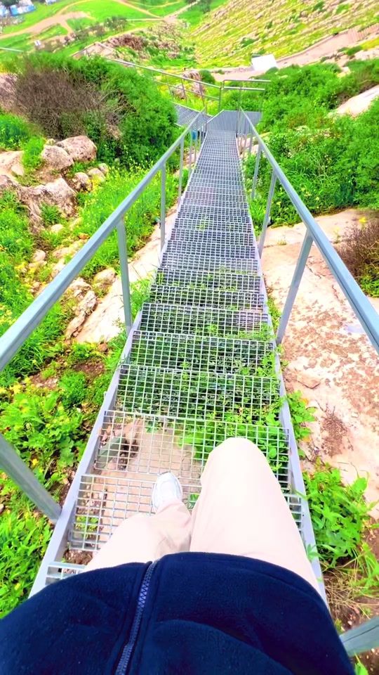 TikTok video thumbnail by z_nature