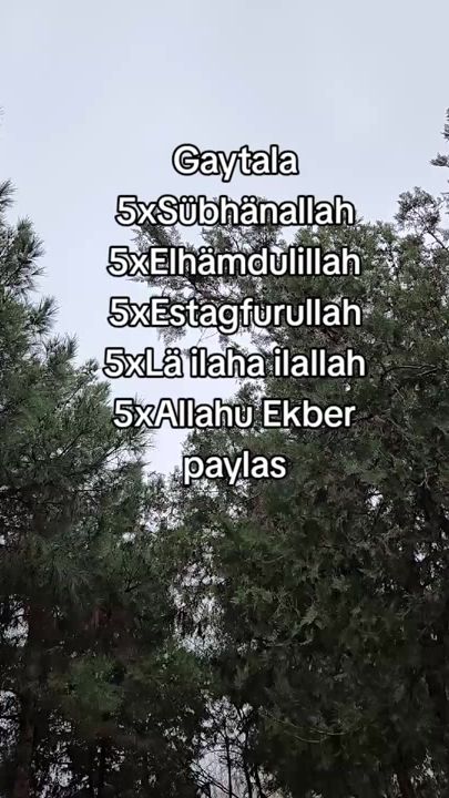 TikTok video thumbnail by ali_sambo11