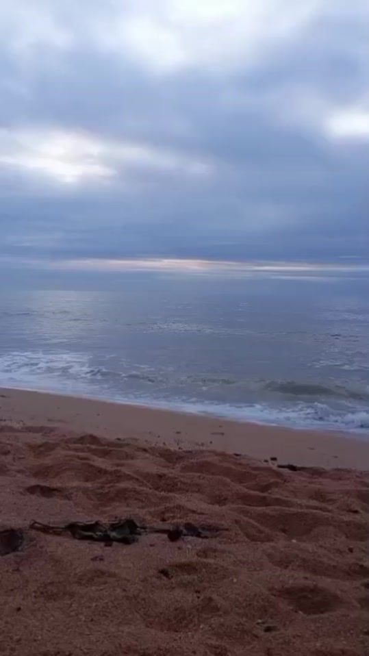 TikTok video thumbnail by m.l.p.oficial