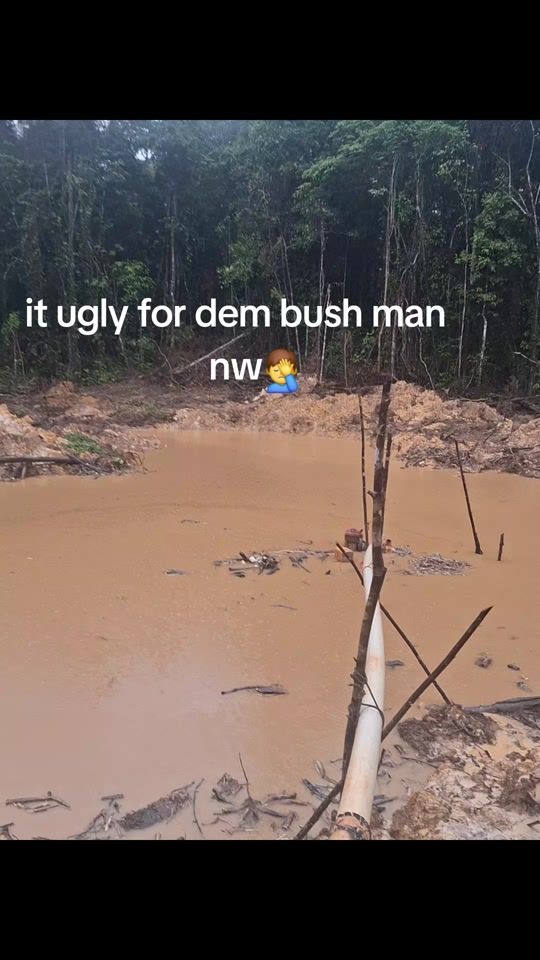 TikTok video thumbnail by geralddavid846
