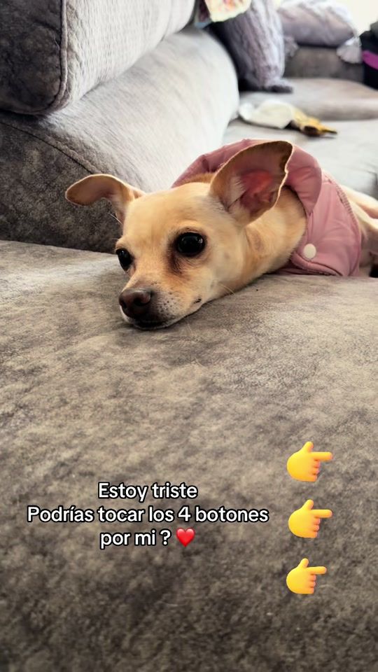 TikTok video thumbnail by mokiypepsi