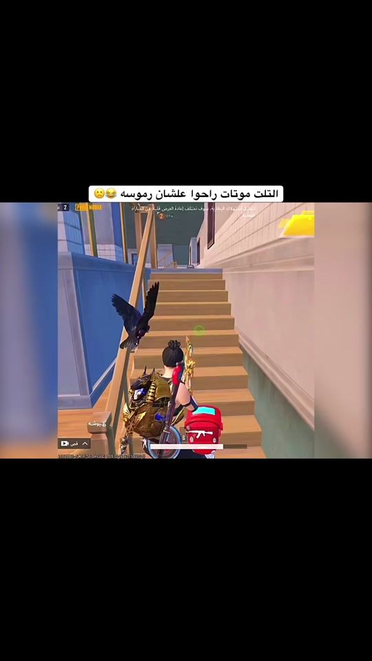 TikTok video thumbnail by aesha11195