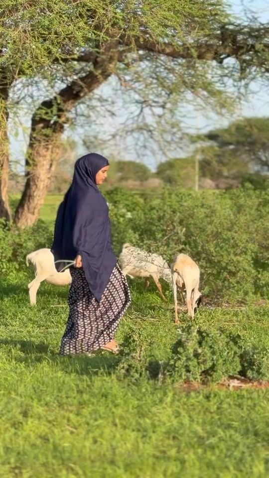 TikTok video thumbnail by hamdibilaney