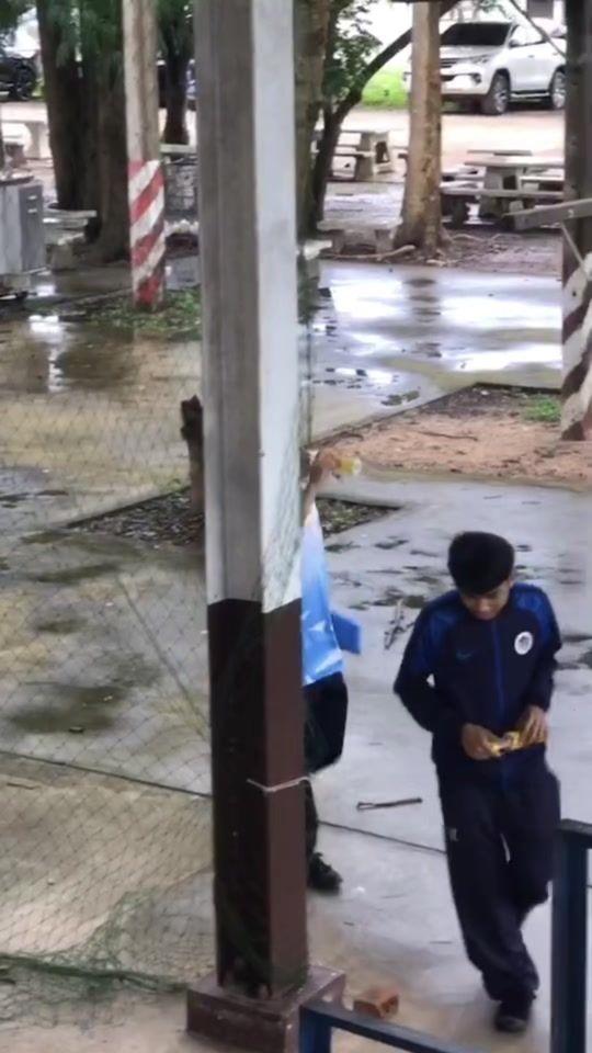 TikTok video thumbnail by buraph_a2