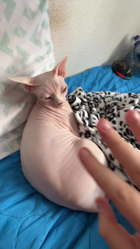 TikTok video thumbnail by don_esfinge