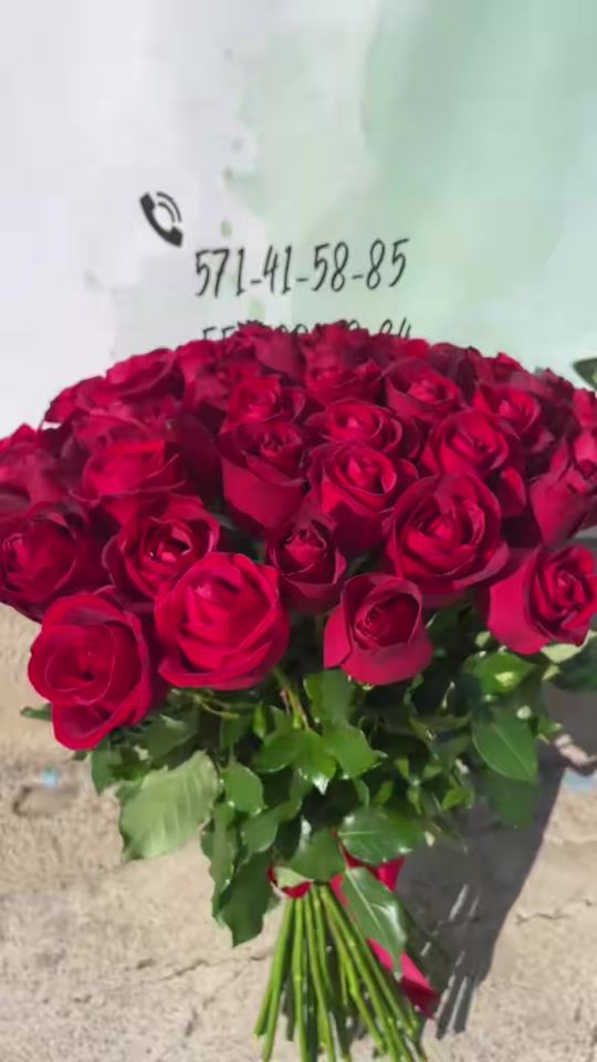 TikTok video thumbnail by malat_flowers