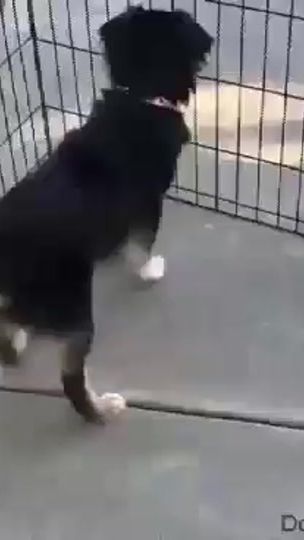 TikTok video thumbnail by monvrais_compte