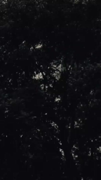 TikTok video thumbnail by sinthiya.sathi6