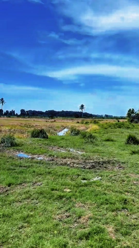 TikTok video thumbnail by furjeal