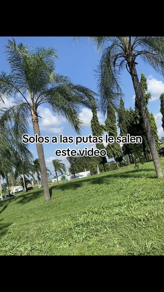 TikTok video thumbnail by 17mayo2018