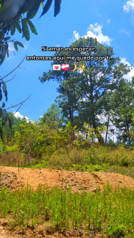TikTok video thumbnail by carlisr05