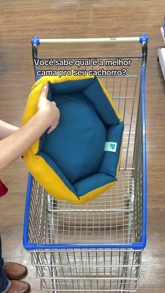 TikTok video thumbnail by petz