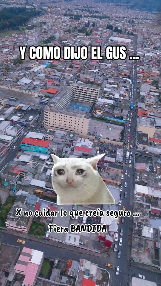 TikTok video thumbnail by guaguadelacomunidad