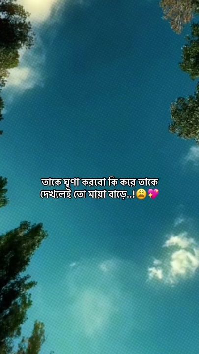 TikTok video thumbnail by _sabbir__01