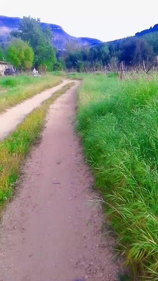 TikTok video thumbnail by umm.reem23