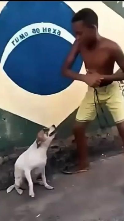 TikTok video thumbnail by jose_e_tilson