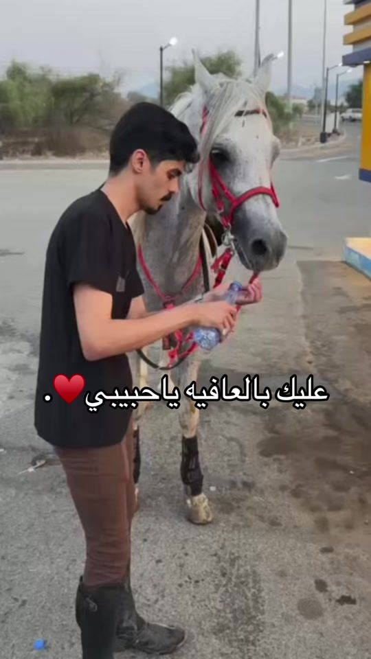 TikTok video thumbnail by mazn_ali1